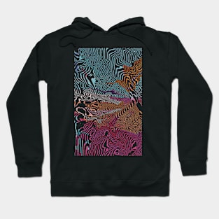 Mount Blanc Modern Topographic Hoodie